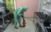 Услуги дезинсекции в Ульяновске